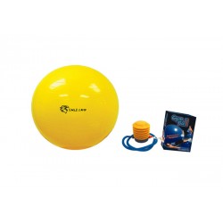 Custom Logo Exercise Gym Ball Custom Logo Exercise Gym Ball