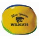 Custom Logo Kick Ball (2")