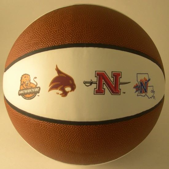 Custom Logo Intermediate 9" Synthetic Leather Basketball (Screen Printed)