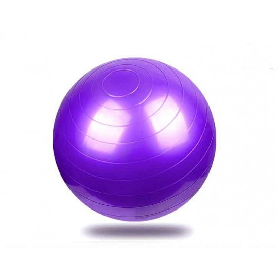 Custom Logo Exercise Gym Ball