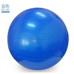 Custom Logo Exercise Gym Ball Custom Logo Exercise Gym Ball